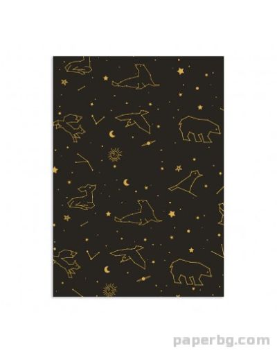 Тетрадка A4 мат/метал Constellations, 40 л. редове, шита с конец