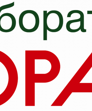 ЛОРАЛАБ плик DL - 1000 броя с офсетов печат 2 цвята